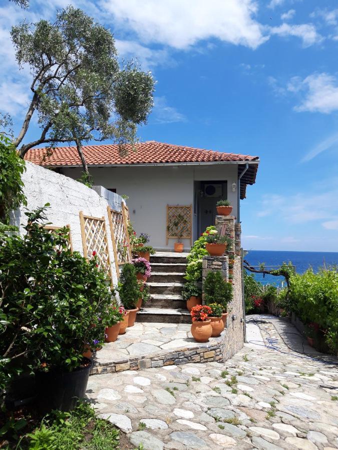 Apartament Ammos Papanero Agios Ioannis  Zewnętrze zdjęcie